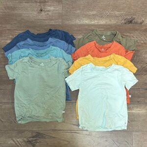 Honest Organic 4T Multi-Color T-Shirt Set